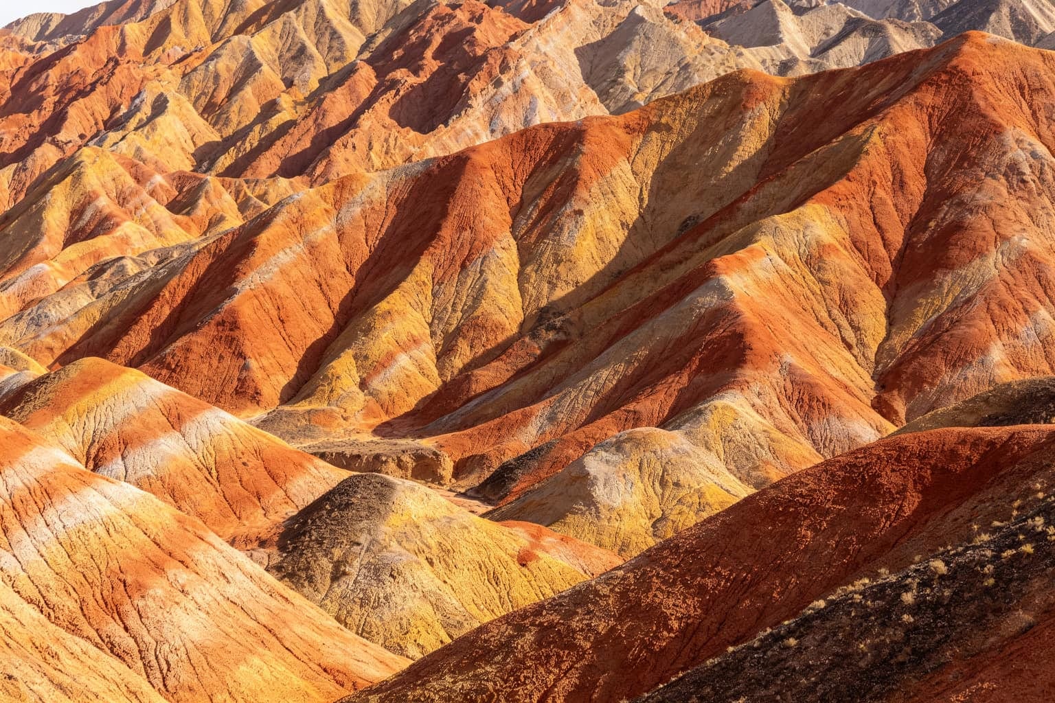 Gansu Qinghai Tour